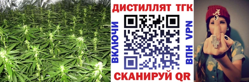 Дистиллят ТГК концентрат  Белёв 