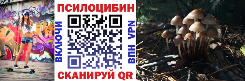 Псилоцибиновые грибы мухоморы  купить наркотик  Белёв 